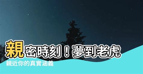 夢到老虎寶寶 火 星期幾